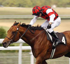 Alkaased claims Japan Victory