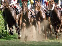 China: 600 cavalos de corridas sacrificados