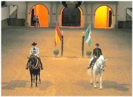 Intercâmbio entre a Real Escuela e o Cadre Noir