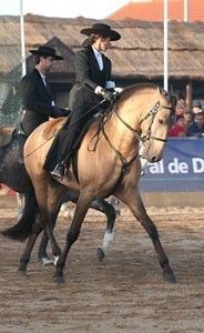 Golegã, a tribute to the Iberian Horse