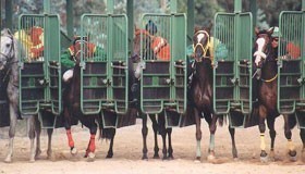 Alababala won the Silver Prize