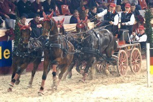 Swiss victory at the Mechelen CAI-W