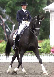 New Dressage Academy in Arruda dos Vinhos