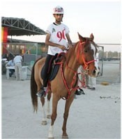 FEI World Endurance Championship in Bahrain