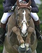 Triunfo de Tjark Nagel no GP de Frankfurt