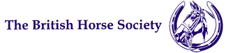British Horse Society incentivo ao ensino