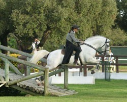 Portugal will host in 2006 the World Working Equitation Championship