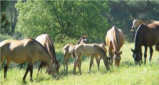 Tempo de brincadeira!