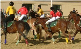 Horseball’s Christmas Celebrations