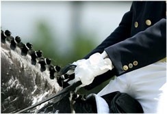 Azores islands to promote equestrian sport in 2006