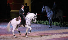 Equitação de Trabalho brilhou na Gala Equestre
