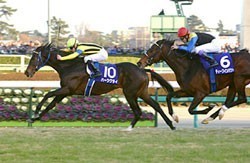 Victory for Heart's Cry in Nakayama (G1)
