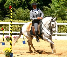 Brasil organiza-se para o Mundial de Equita&ccedil;&atilde;o de Trabalho