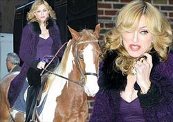 Madonna back in the saddle...