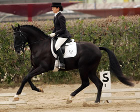 Leonor Ramalho in serious horse acident