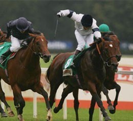 Motivator named Horse of the Year