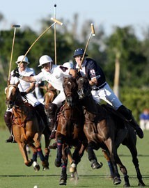 POLO: Lechuza Caracas bate Catamount 13-10