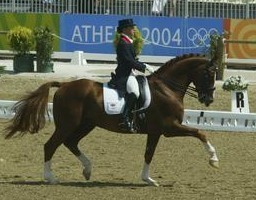British Team Horse Wie Weltmeyer Retires