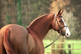 "For Pleasure" despede-se em Aachen