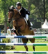 2ª Semana de Cavalos Novos em Vilamoura