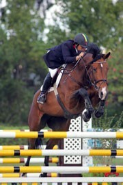 IV Vilamoura Equestrian Tour - Young Horses