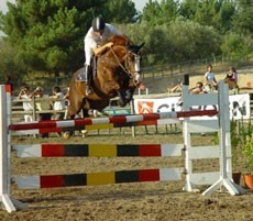 ACPCAR fecha as portas...