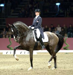 FEI distribuiu 5 "Wild Cards" para a Final