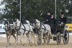 VI Iberian Driving Cup - Ravasqueira