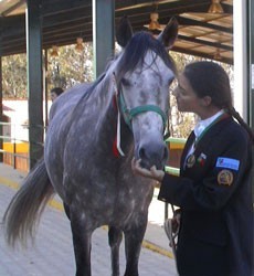 CTT e Allianz apoiam Sara Duarte