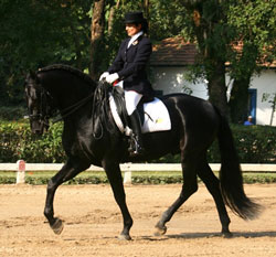 Brasil: Lusitano arrecadou 13 dos 20 títulos no Ensino
