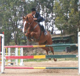 Em foco o CSN-C de Matosinhos
