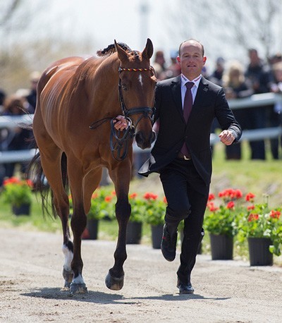 Triunfo de Michael Jung no CCI** de Compi&egrave;gne