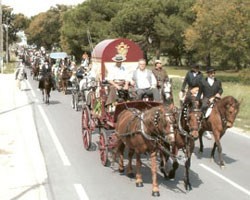 VI Romaria a Cavalo Moita – Viana do Alentejo