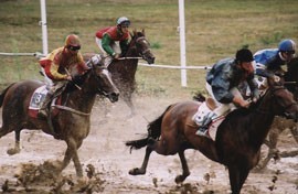TROFA: Corrida de Cavalos atraiu seis mil pessoas