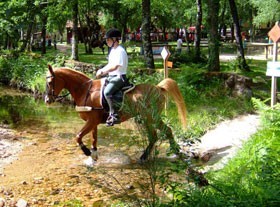 Ta&ccedil;a de Portugal/5&ordf; Prova do Cto. Nacional e Open de TREC