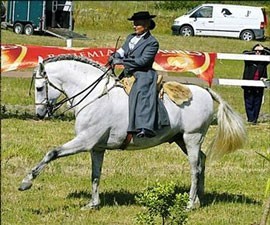 Equusteam em destaque ao organizar o I Cto. do Traje Português 2006