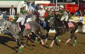 Horseball: Babes surpreenderam em Reguenos...