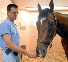Tragedy at the Pimlico Race Track