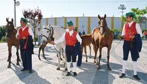 Campino e o Cavalo foram destaque no Cartaxo.