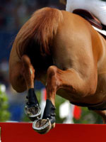 Espinho: Festival Equestre Internacional