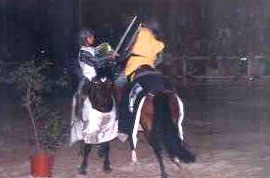 Torneios Mediavais no Colégio Vasco da Gama