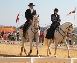 Festa do Cavalo de Porto Salvo um sucesso...