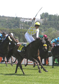 National Jockey snatches a win at Zarzuela