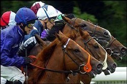 Ponte de Lima claims horse betting...