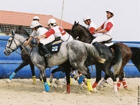 Horseball Quinta de Santo António vence o Cto. Trophy 2006