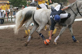 Horseball: Final da Liga da Catalunha 2005/2006
