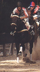 Riding Centre at Baião to promote "garrano" trot racing