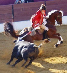 Manuel Lupi perde o cavalo "Moura"