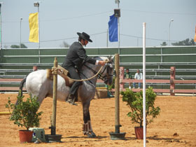 Feira Equestre regressa &agrave; Moita