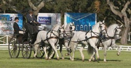 Le Trec Driving demo - Companhia das Lez&iacute;rias